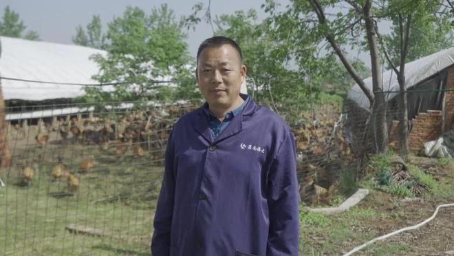 肥西老母鸡养了180天一年炖300多万只2万多名员工的老乡鸡